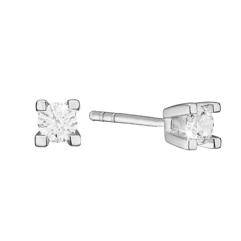 Eternity diamantøreringe i 14 kt. hvidguld