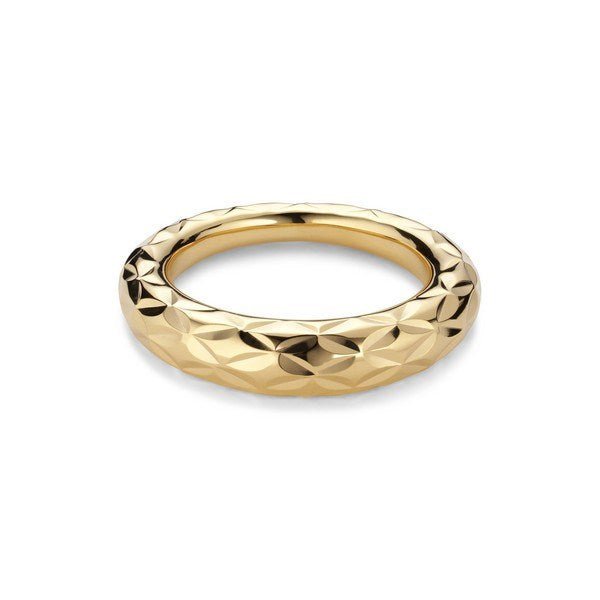 BIG Impression ring i forgyldt af Jane Kønig BIRHOL2000-G