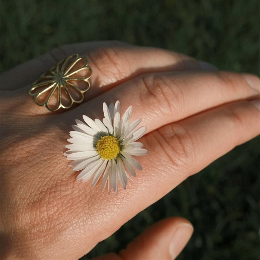 Große Bellis-Neuheit von Pernille Corydon Schmuck!