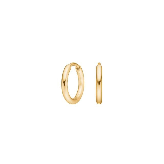 Pure Titanium Nikkelfri øreringe 30150213800