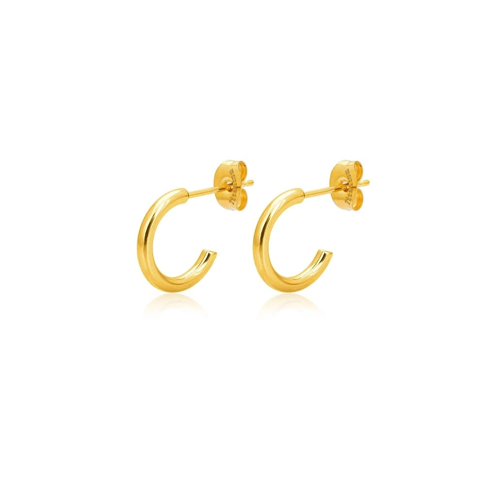 100% Titanium  Hoops i forgyldt titanium små