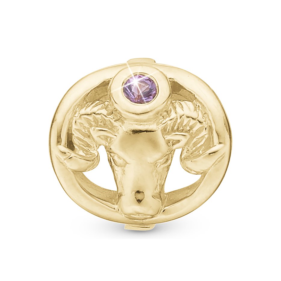 Christina Sternzeichen Widder Charm aus vergoldetem Silber mit Amethyst für Lederarmband