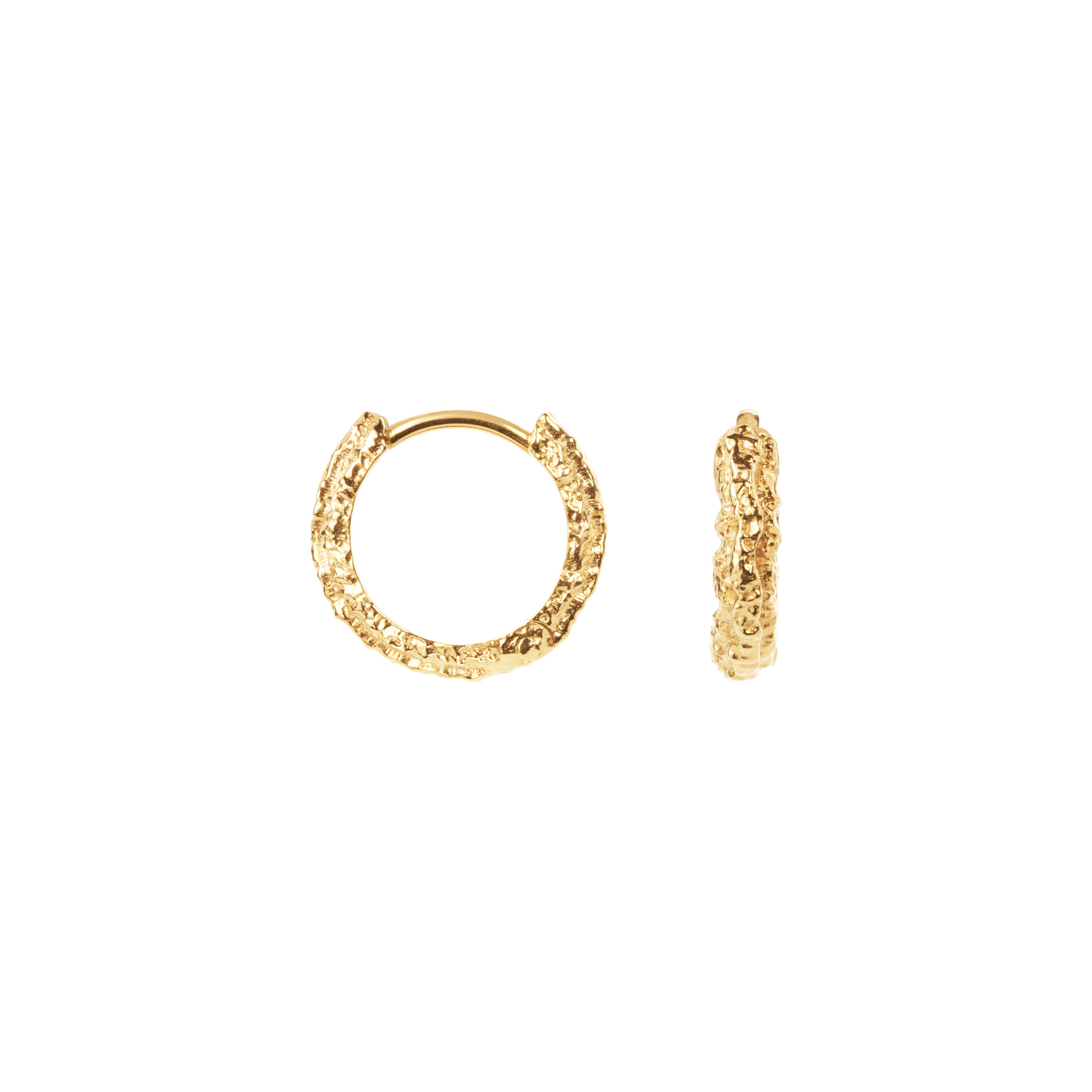 Camille Brinch Small Sparkly Hoops vergoldet