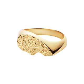 Camille Brinch Textured BFF Sparkly Ring vergoldet