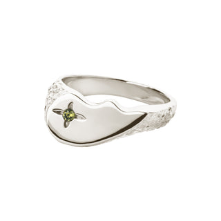 Camille Brinch Shiny BFF Sparkly Ring in Silber