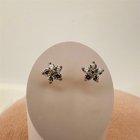 Ohrstecker aus 8 Karat Gold mit zirkonia in Stern**