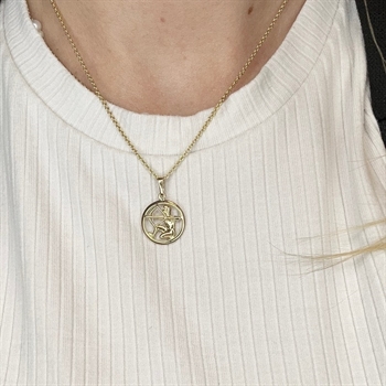 Sternzeichen-Anhänger aus 8-14 Karat Gold - KREBSEN -15%.  