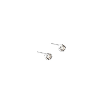 Aqua Dulce - Love Me Small Earstud in Sterlingsilber