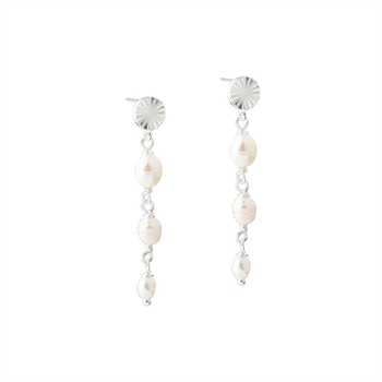 Aqua Dulce - Line Pearl Ohrringe aus Silber Schmuckzentrum