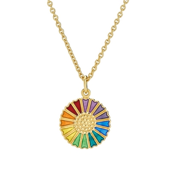 Regenbogen-Halskette in vergoldete silber 9025075-RB