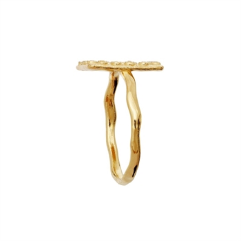Maanesten - Frida vergoldeter Ring