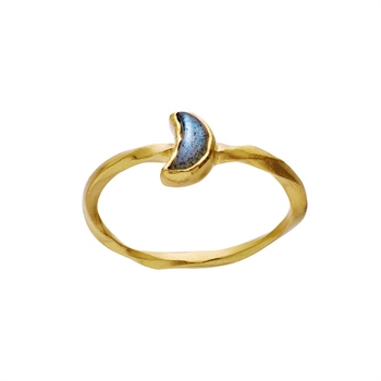 Maanesten - Doris vergoldeter ring 