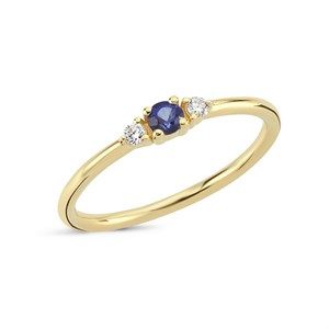 Petit - Ring mit blauem Saphir aus 14 kt. Gold | R1110