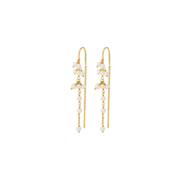 Pernille Corydon - Ocean Treasure Ohrenketten in vergoldete silber e-435-gp (Produktbild)