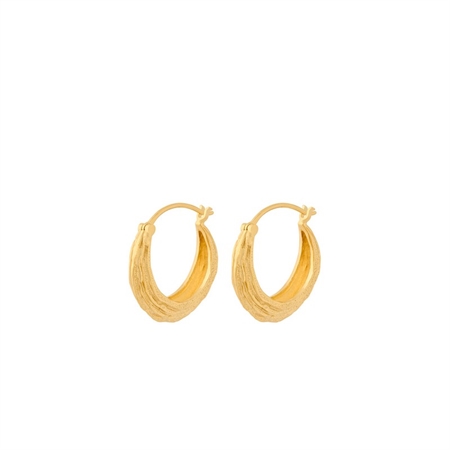 Ohrringe für die Küste in vergoldete Pernille Corydon E-470-GP