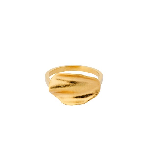  Produkt Pernille Corydon - Ozean vergoldeter ring  silber