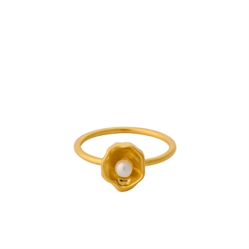 Hidden Pearl ring von Pernille Corydon r-448-gp